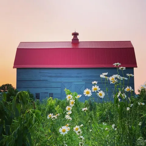 a view of backyard with tv