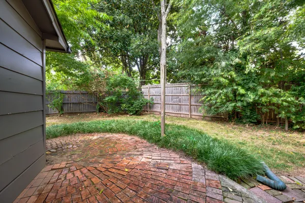 a view of a backyard with plants and large trees