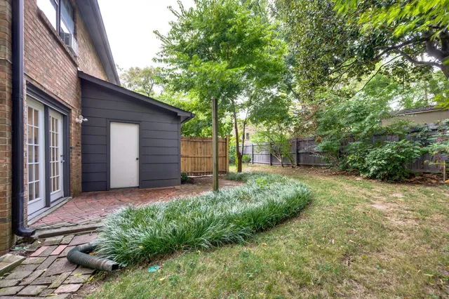 a view of a backyard with plants and large tree