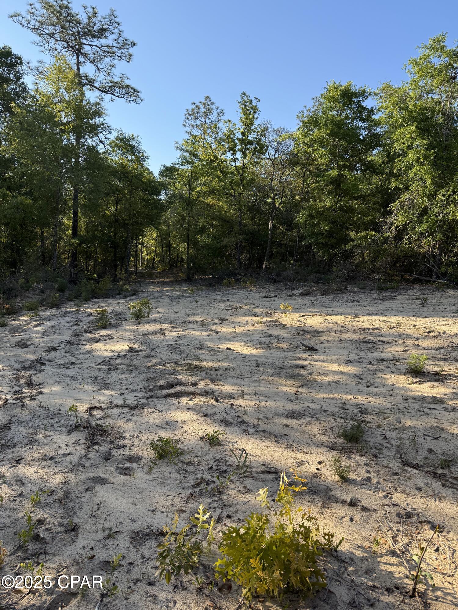 516 Goshun Creek Road Chipley, FL 32428 - Photo 3 of 24