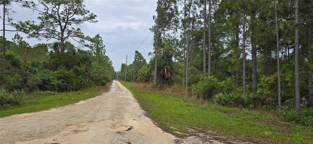 6150 Southwest 126th Avenue Cedar Key, FL 32625 - Photo 9 of 12