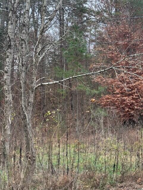 0 Chestuee Road Northeast Cleveland, TN 37323 - Photo 3 of 4 Chestuee 3