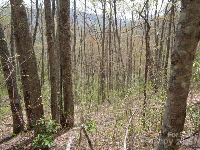 a view of outdoor space and a yard