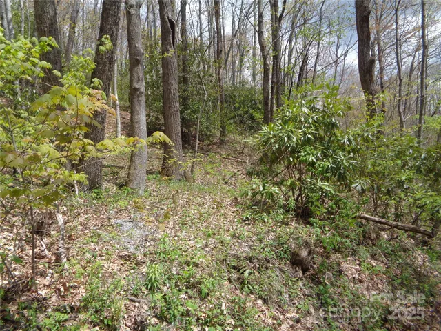 a view of outdoor space and garden