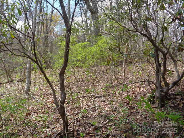 $75,000 | 0 Bent Tree Road, Maggie Valley, NC 28751