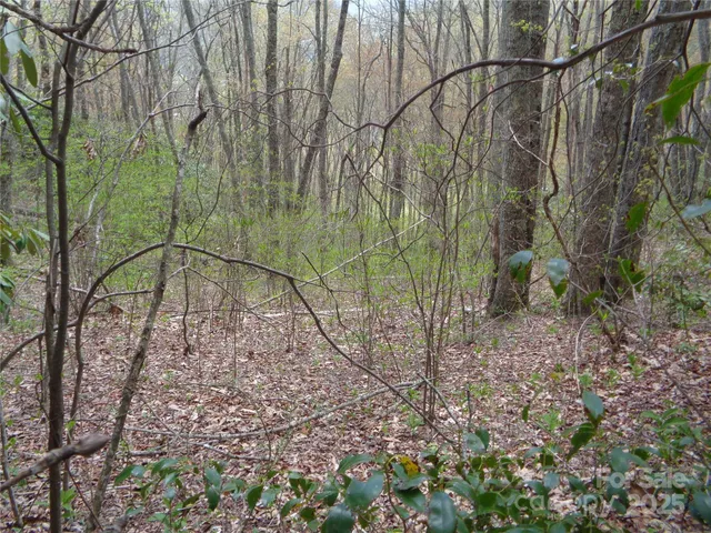 $75,000 | 0 Bent Tree Road, Maggie Valley, NC 28751