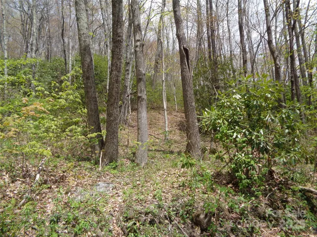 a view of backyard with green space