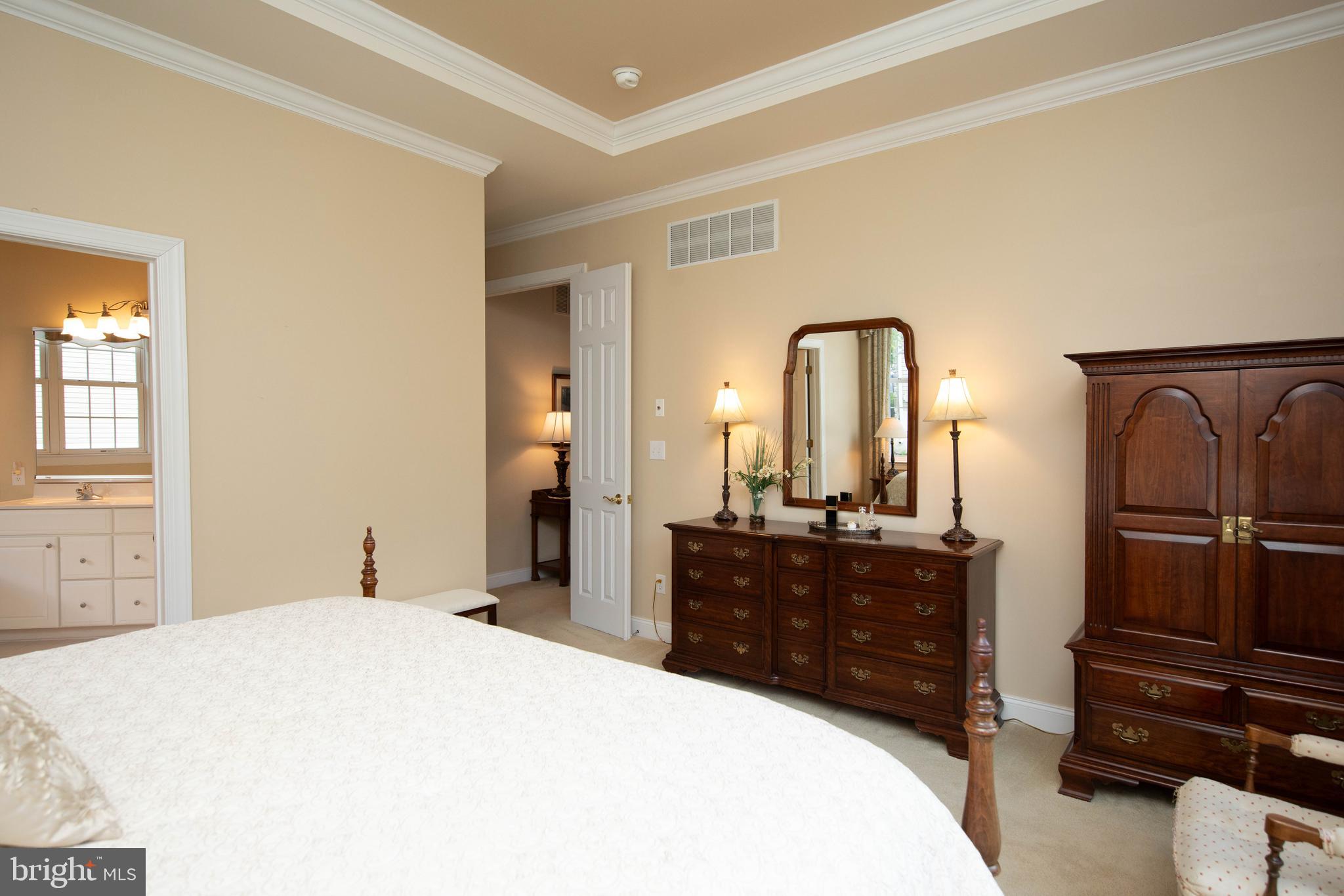 127 Sloan Road Phoenixville, PA 19460 - Photo 19 of 59 Tray Ceiling