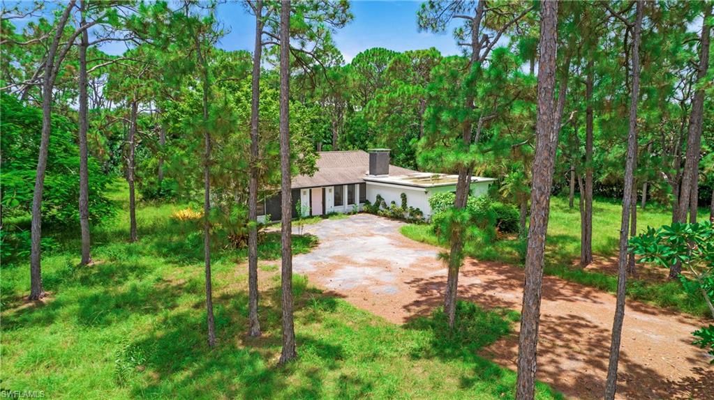 a view of a chairs and bench in the garden