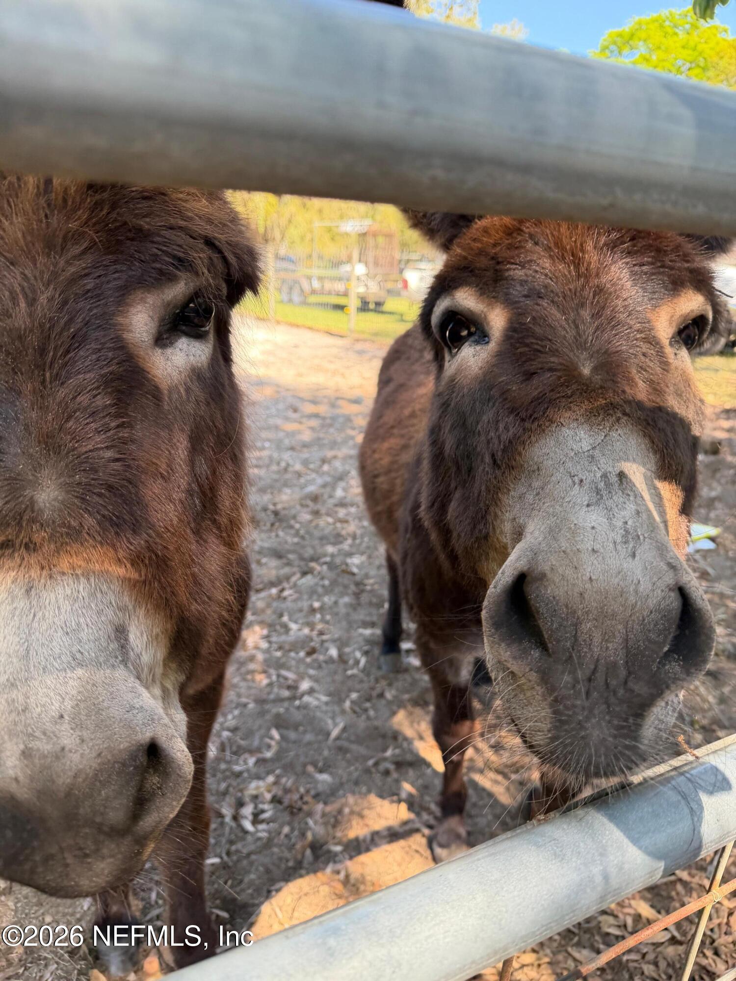 85276 Harts Road Yulee, FL 32097 - Photo 63 of 63 IMG_4662