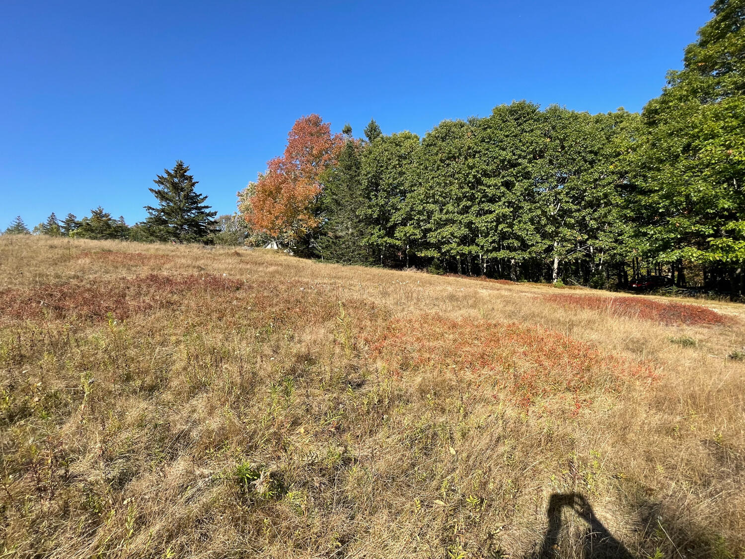 0 Country Way Bar Harbor, ME 04609 - Photo 12 of 22 IMG_0865