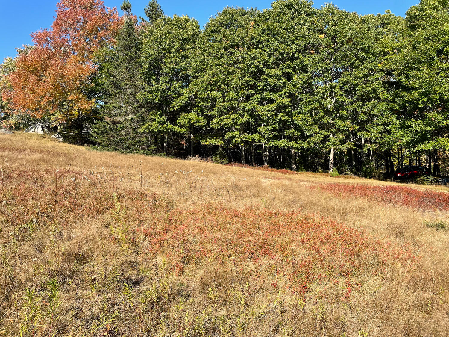 0 Country Way Bar Harbor, ME 04609 - Photo 13 of 22 IMG_0866