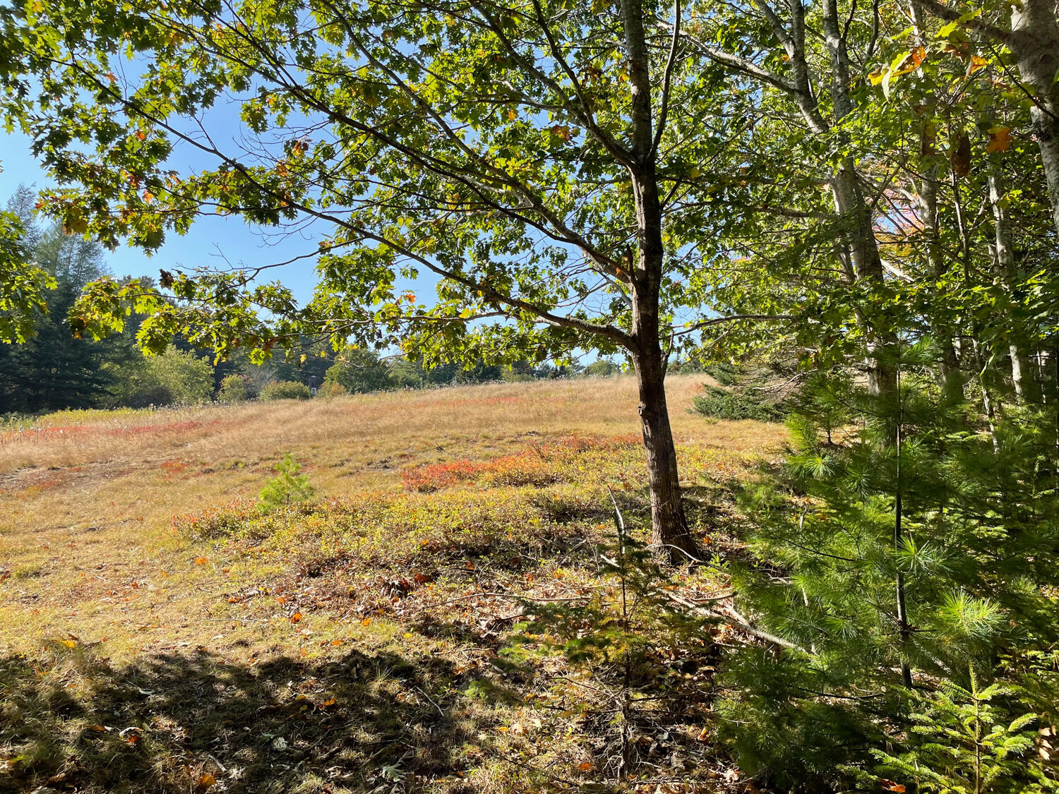 0 Country Way Bar Harbor, ME 04609 - Photo 15 of 22 IMG_0868