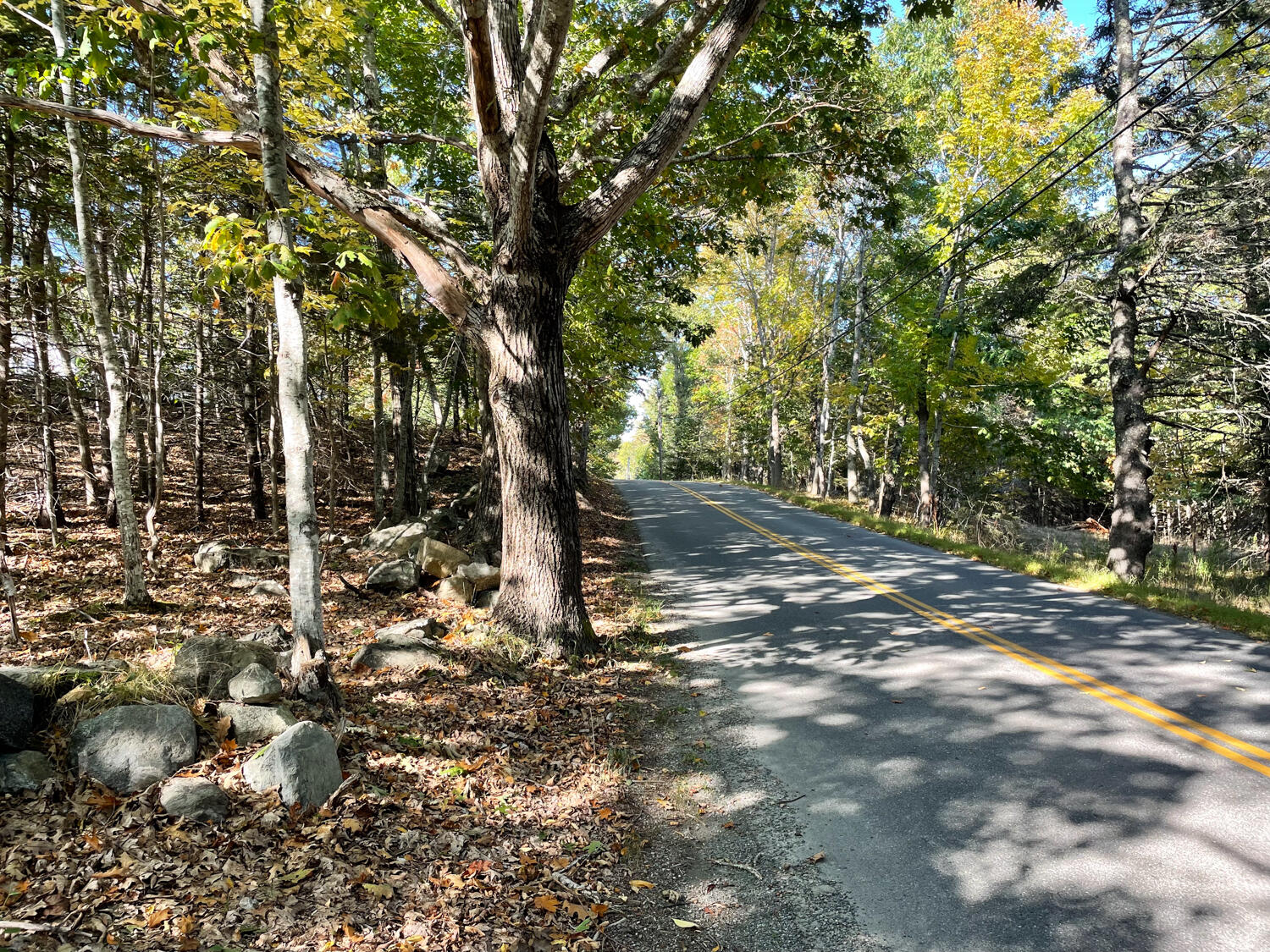 0 Country Way Bar Harbor, ME 04609 - Photo 16 of 22 IMG_0869