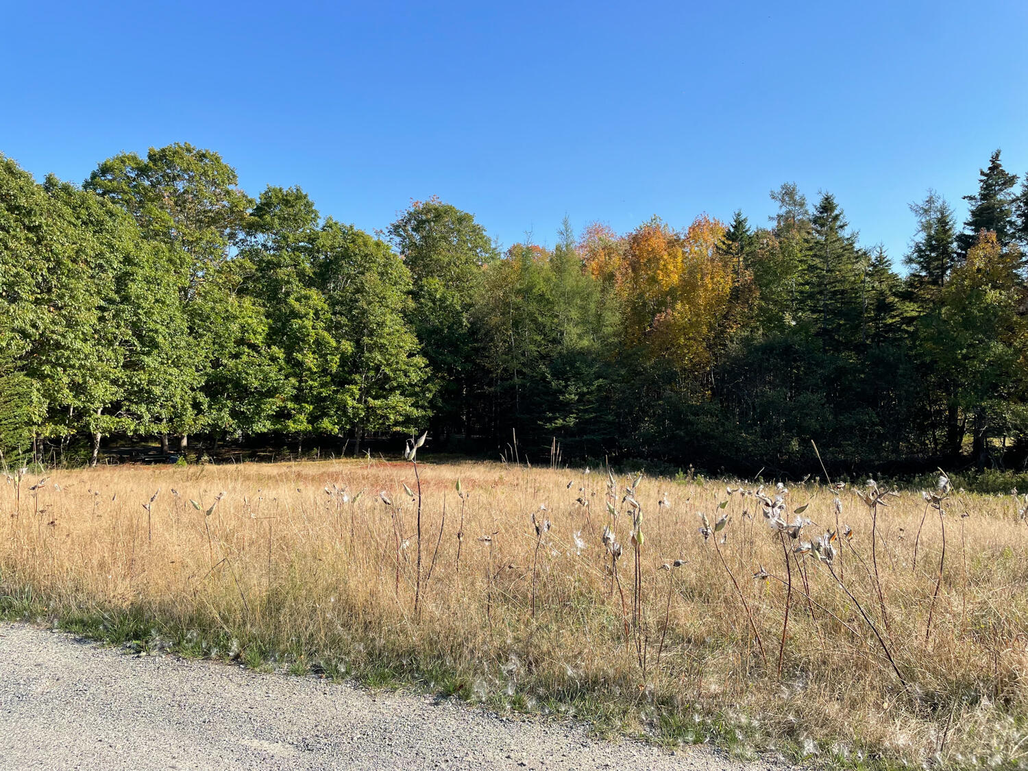 0 Country Way Bar Harbor, ME 04609 - Photo 18 of 22 IMG_0871