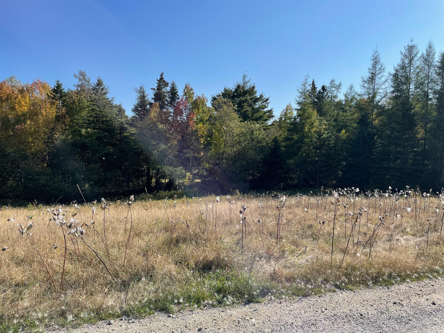 0 Country Way Bar Harbor, ME 04609 - Photo 19 of 22 IMG_0872