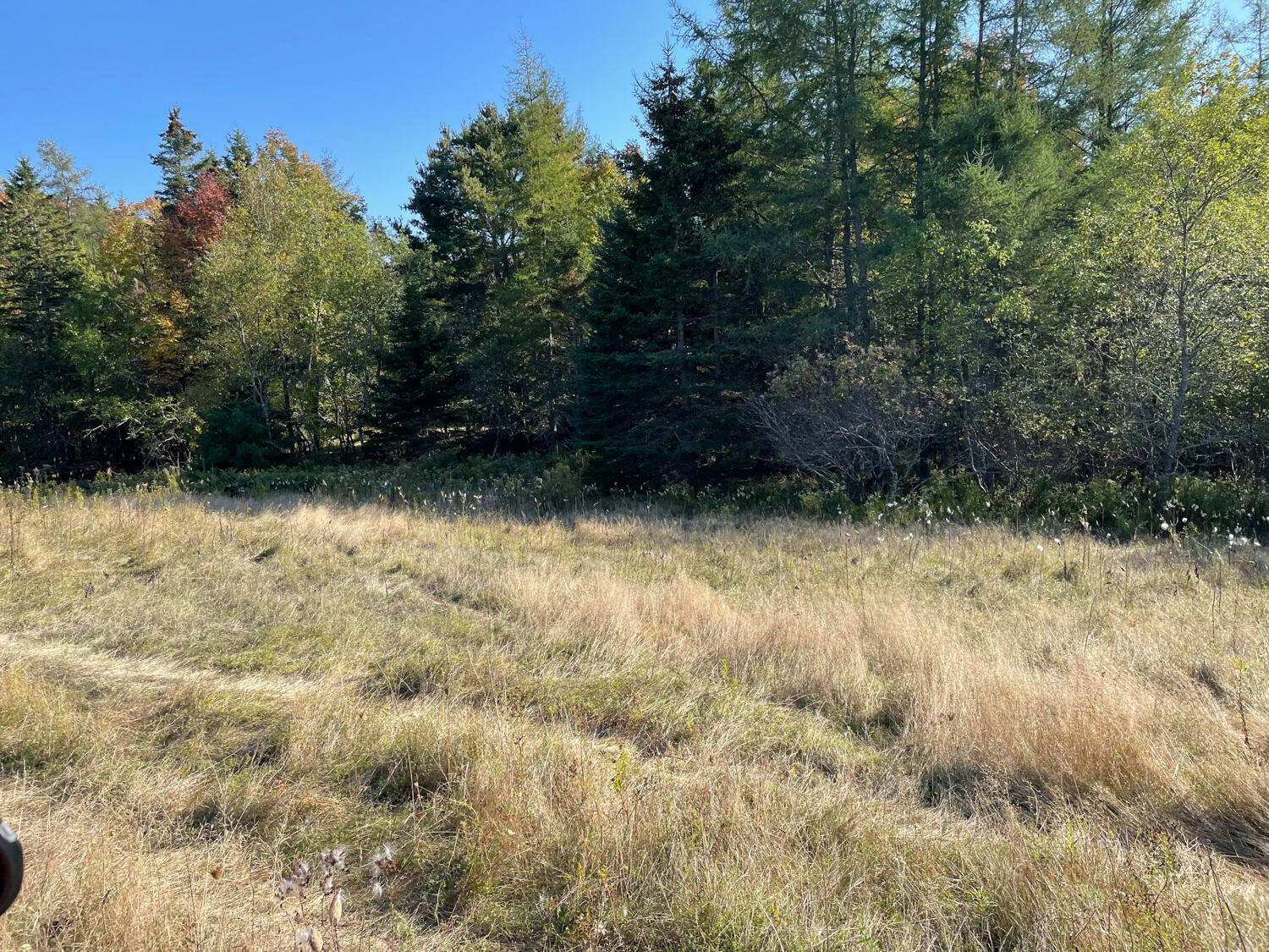 0 Country Way Bar Harbor, ME 04609 - Photo 20 of 22 IMG_0873