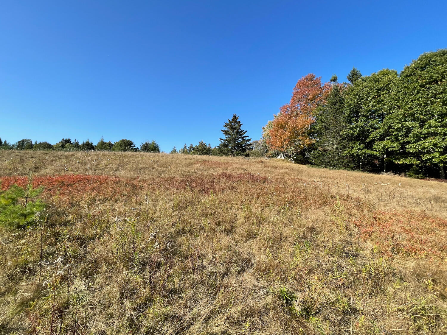 0 Country Way Bar Harbor, ME 04609 - Photo 10 of 22 IMG_0863