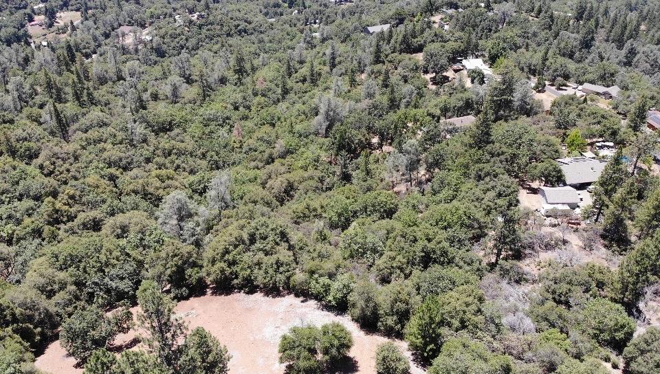0 Bowman Road Pine Grove, CA 95665 - Photo 18 of 30