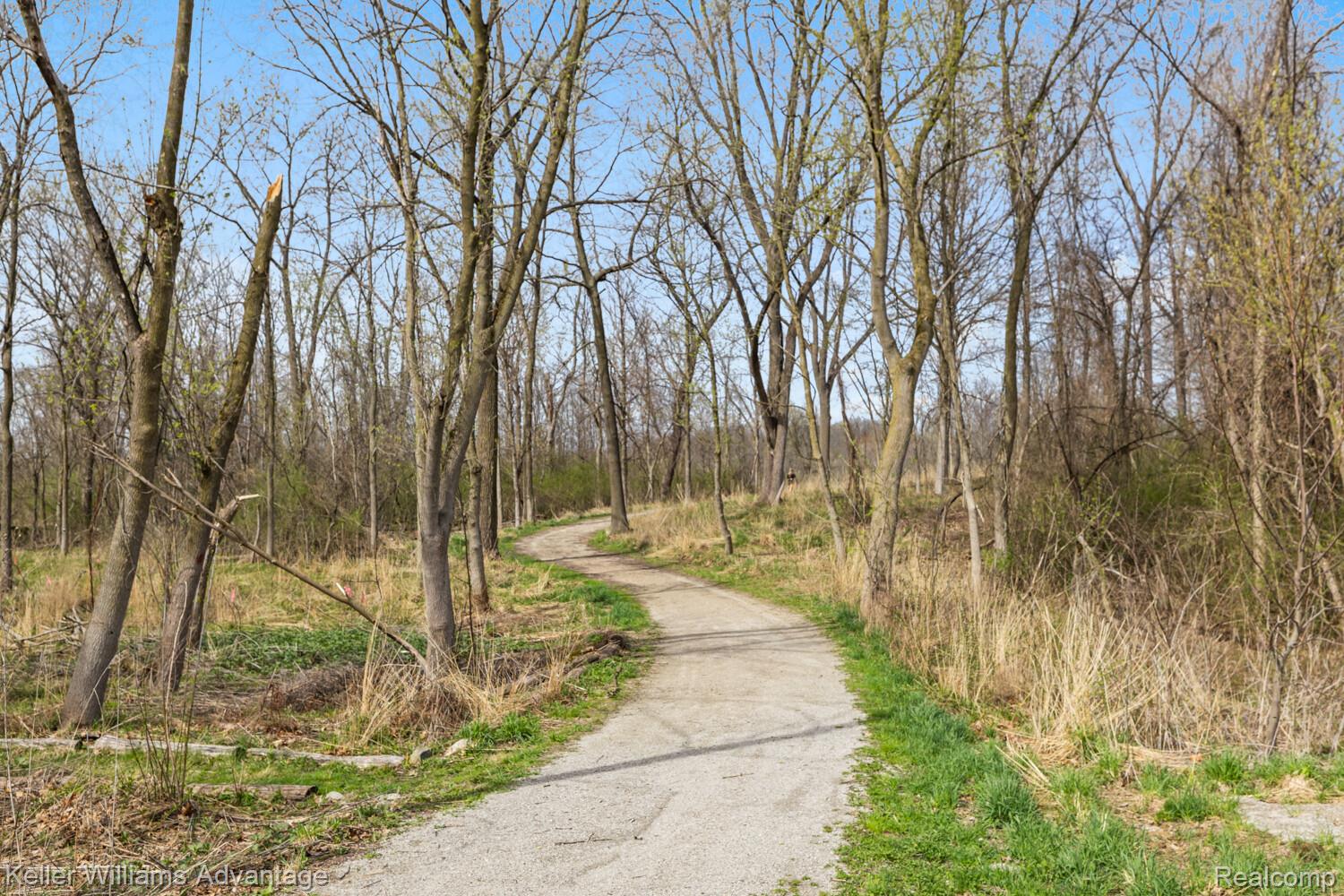 4100 Norwich Court Rochester, MI 48306 - Photo 68 of 72 View of road