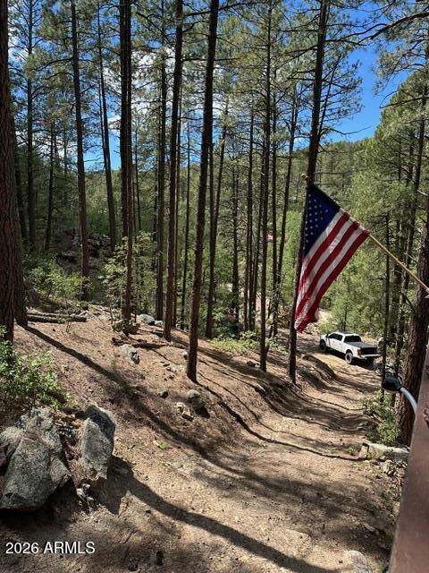 7345 Crown King Road Crown King, AZ 86343 - Photo 14 of 22 a view of a park with large trees