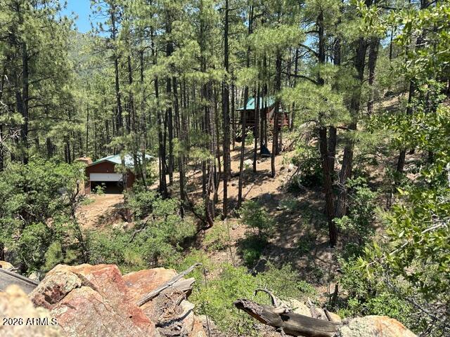 7345 Crown King Road Crown King, AZ 86343 - Photo 18 of 22 a view of outdoor space and yard