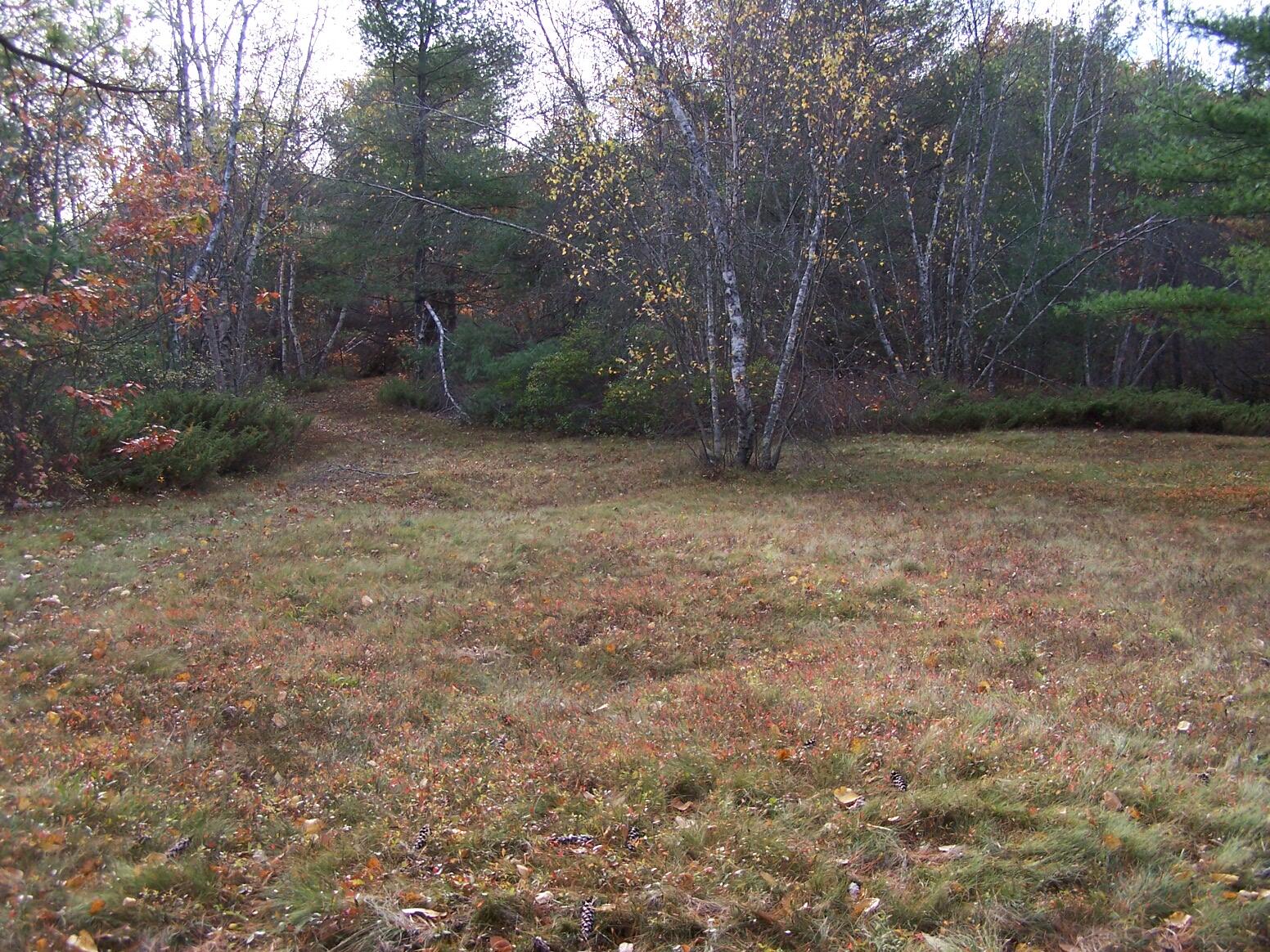 Lot 49 Gardiner Road Dresden, ME 04342 - Photo 8 of 23 101_5327