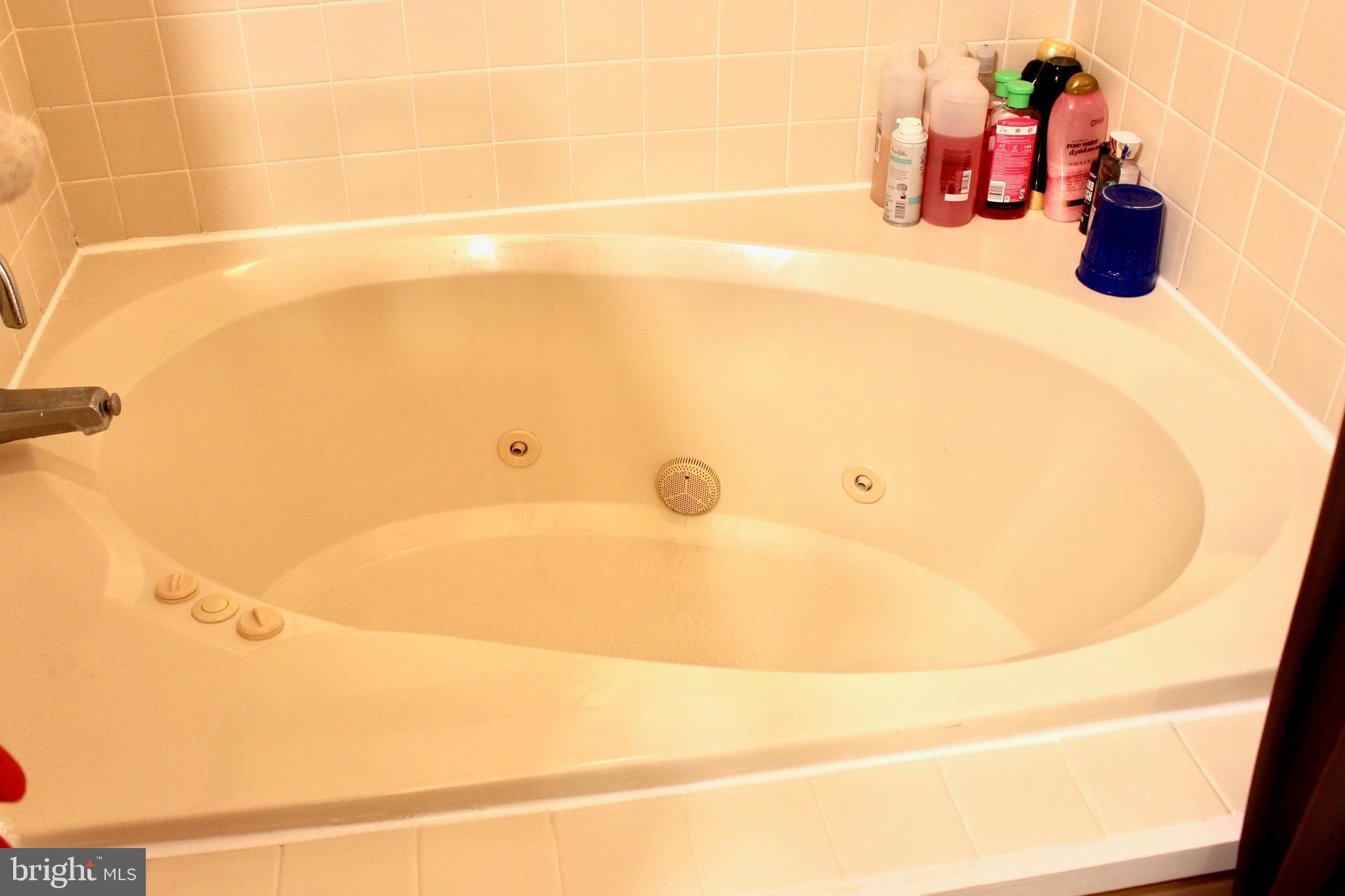 116 Rouzer Lane Thurmont, MD 21788 - Photo 12 of 19 Upstairs Bathroom