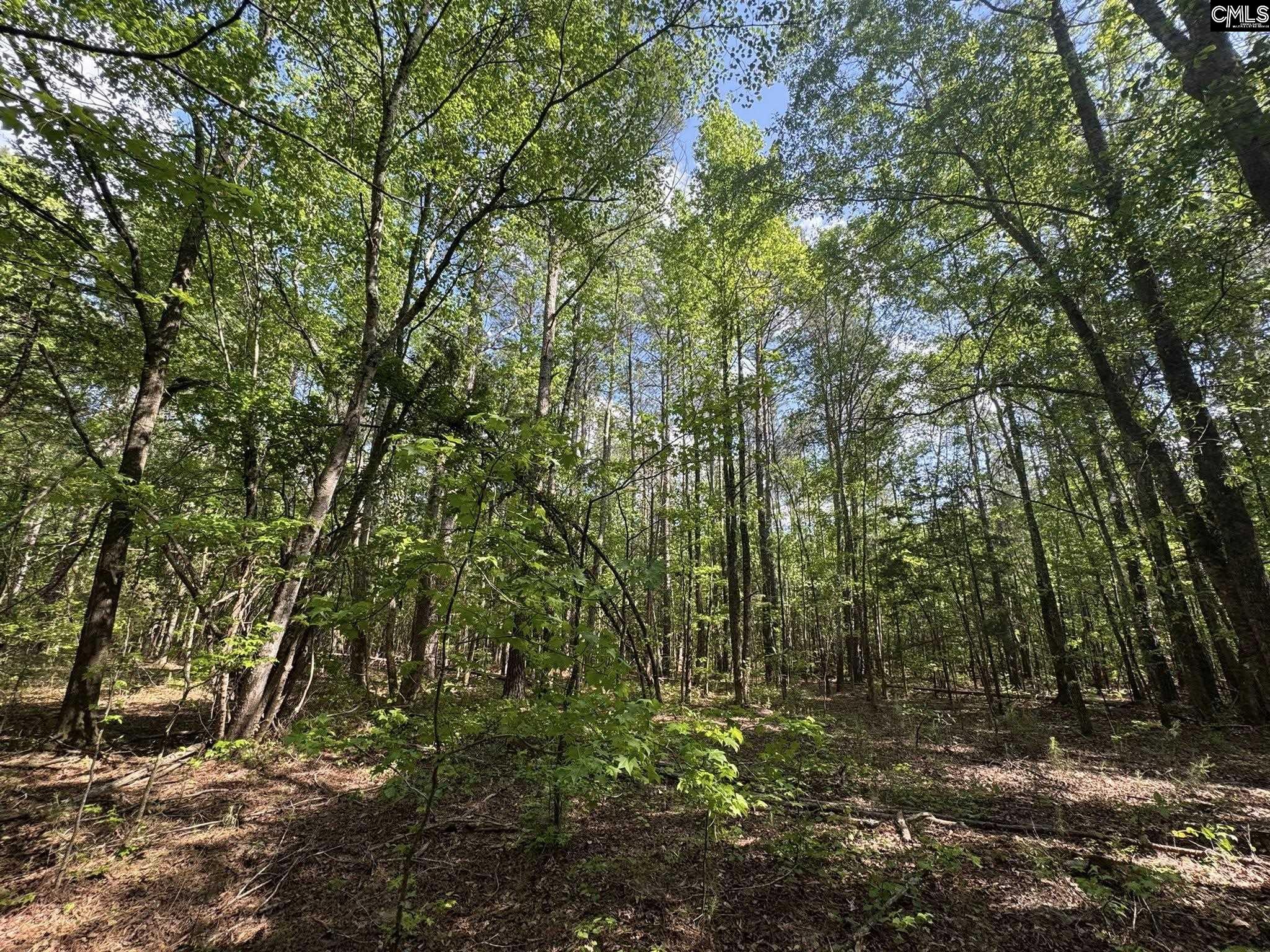 76 West W Highway Honea Path, SC 29654 - Photo 28 of 35
