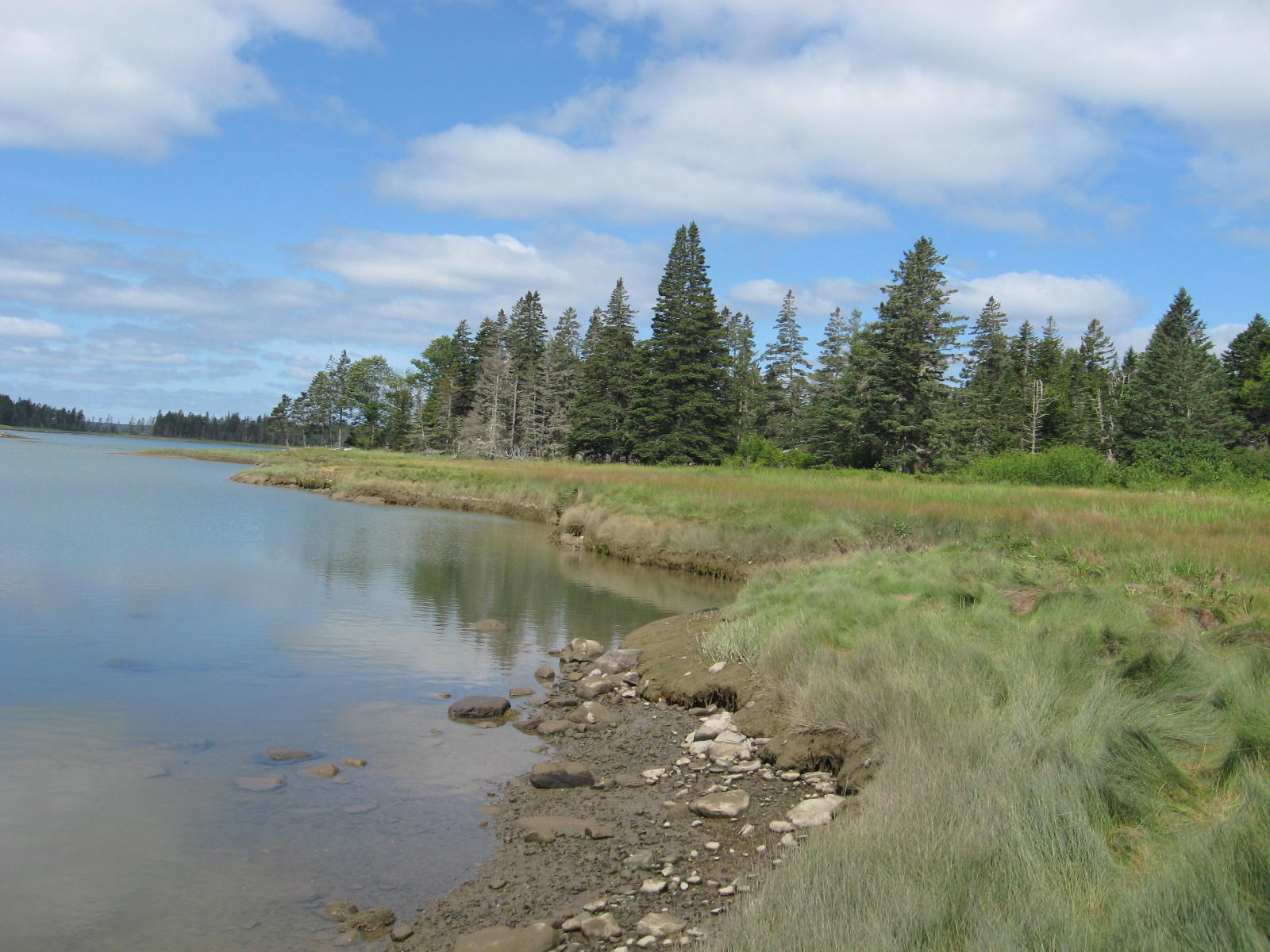22 Marsh Harbor Road Addison, ME 04606 - Photo 7 of 33 IMG_0007