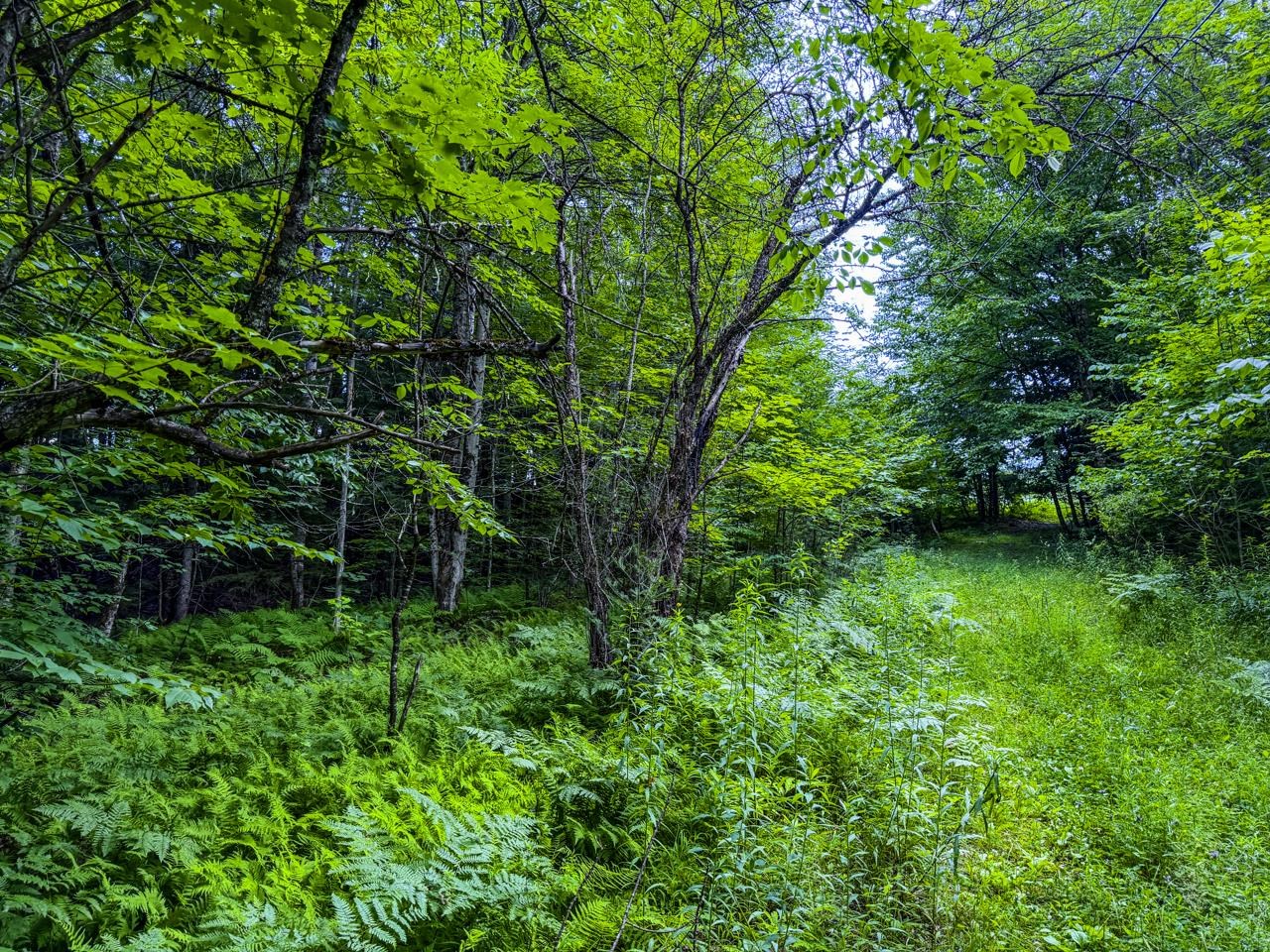Tbd Wilder Road, Unit 2 Waterbury, VT 05676 - Photo 36 of 41