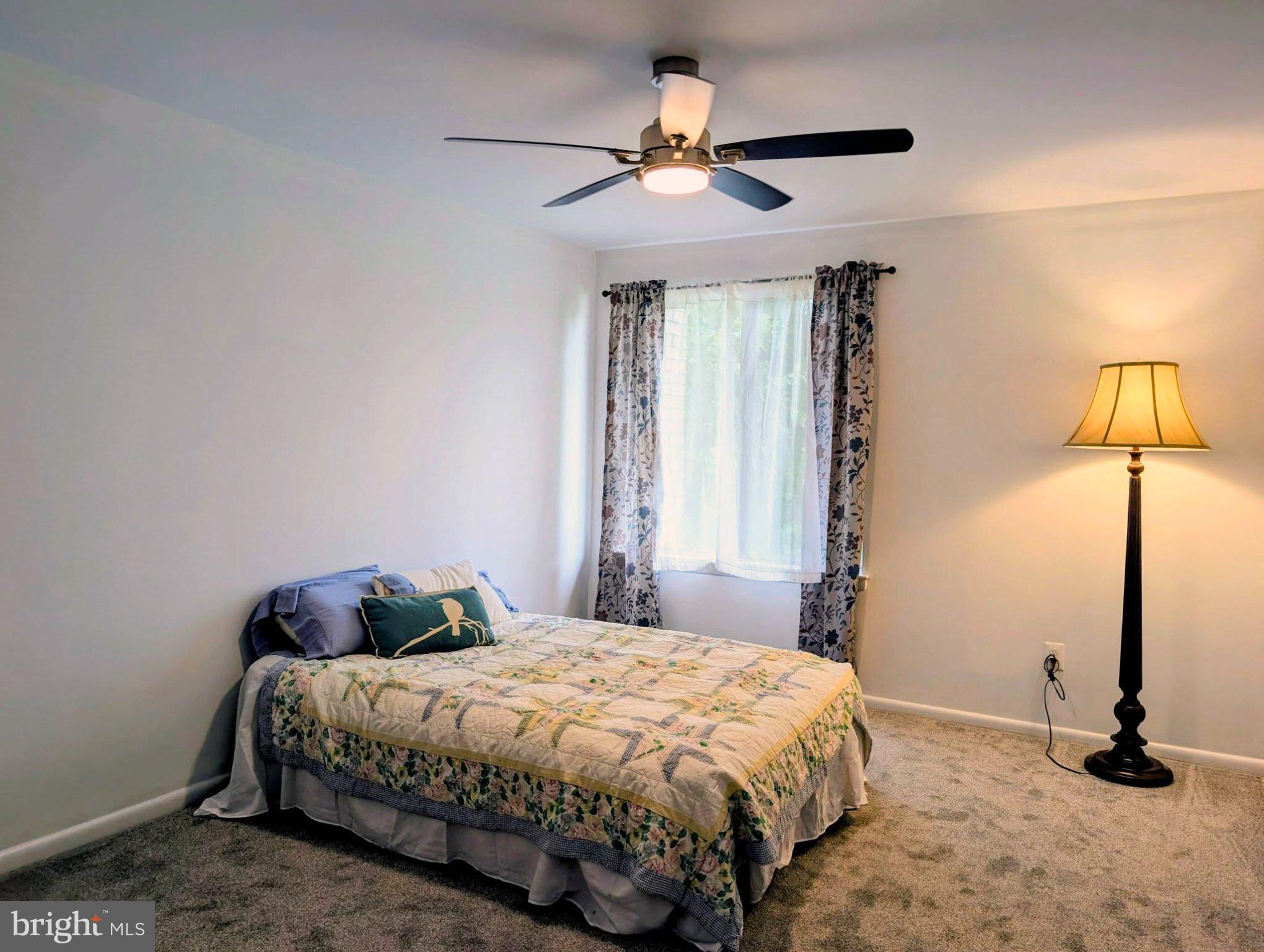 2515 Baltimore Road, Unit 8 Rockville, MD 20853 - Photo 41 of 43 second bedroom w walk- in closet
