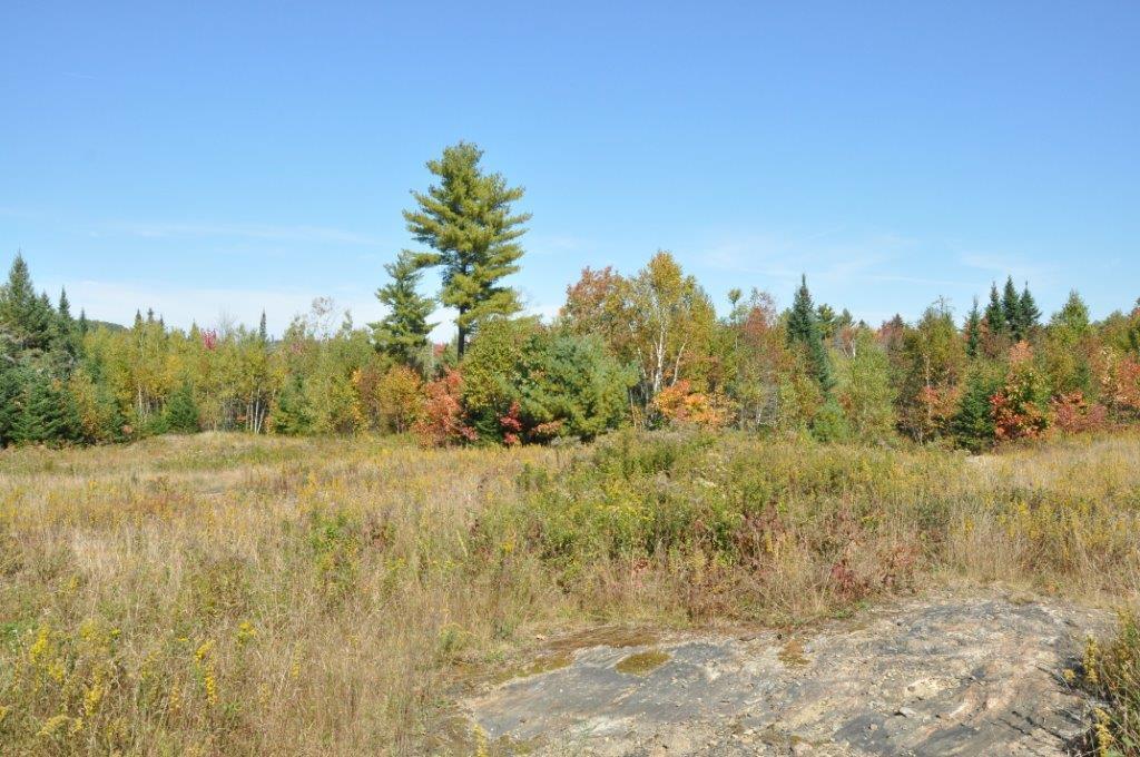 L 67.4-6 L 67.4-6 Ridge Road Belfast, ME 04915 - Photo 12 of 31 9-26-14 Waldo 81 Acres 136