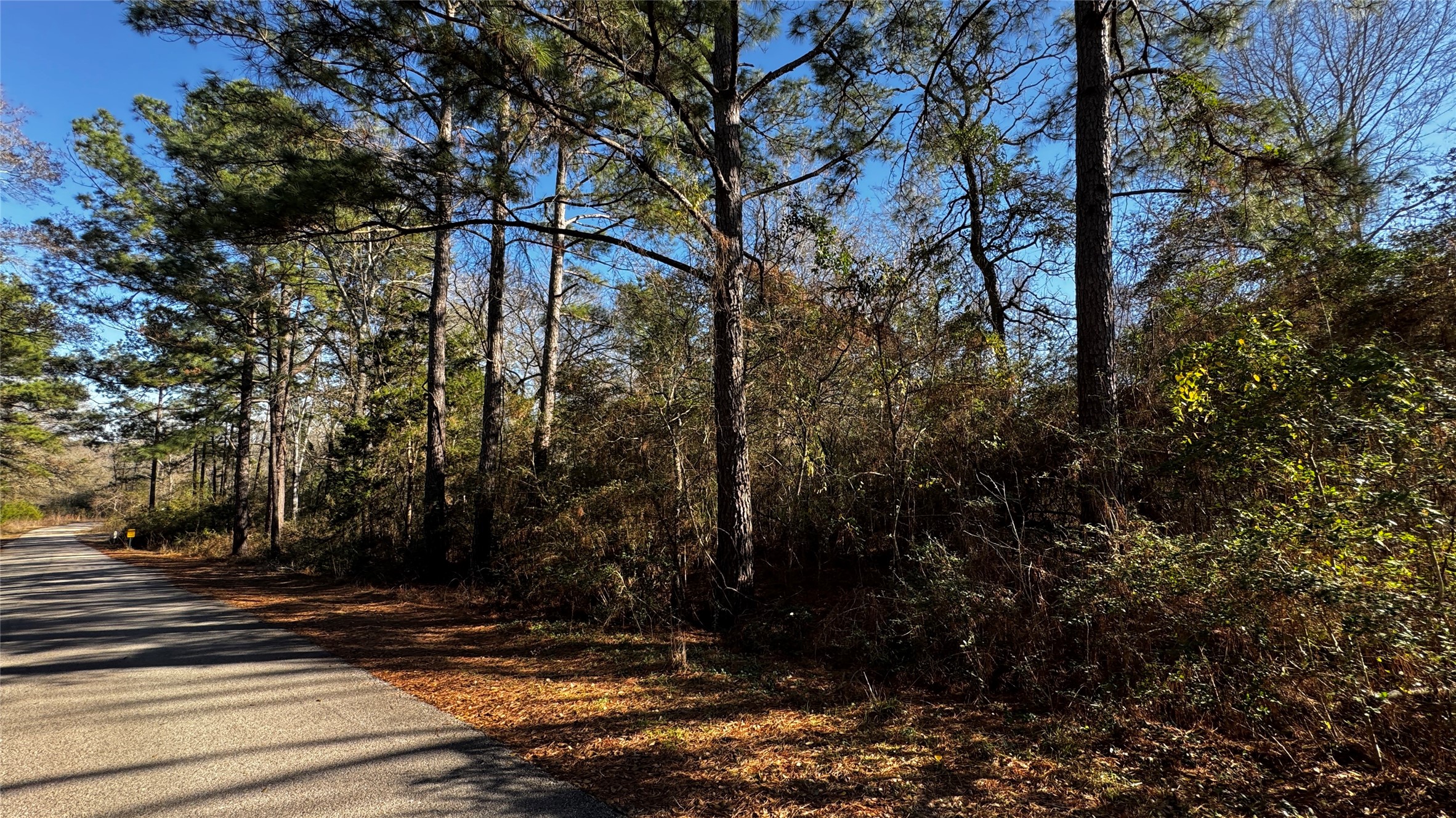 Tbd Buck Lane Hempstead, TX 77445 - Photo 2 of 9 Beautiful 1/3+ Acre Corner Lot with mature trees and sloping landscape, 2 road front access, surrounded by beautiful custom homes