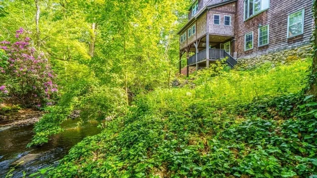 a view of a backyard with plants