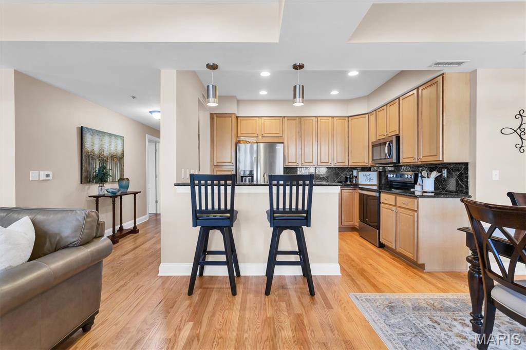 540 North And South Road, Unit 105 St. Louis, MO 63130 - Photo 11 of 48