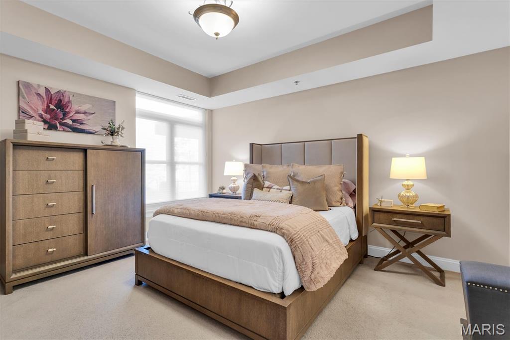 540 North And South Road, Unit 105 St. Louis, MO 63130 - Photo 23 of 48