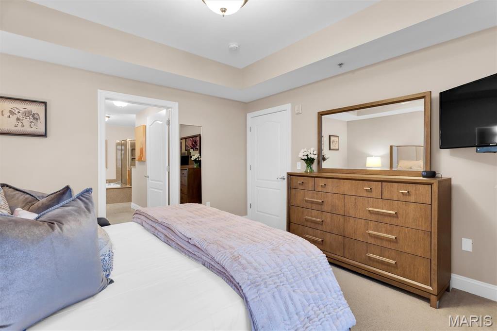 540 North And South Road, Unit 105 St. Louis, MO 63130 - Photo 25 of 48