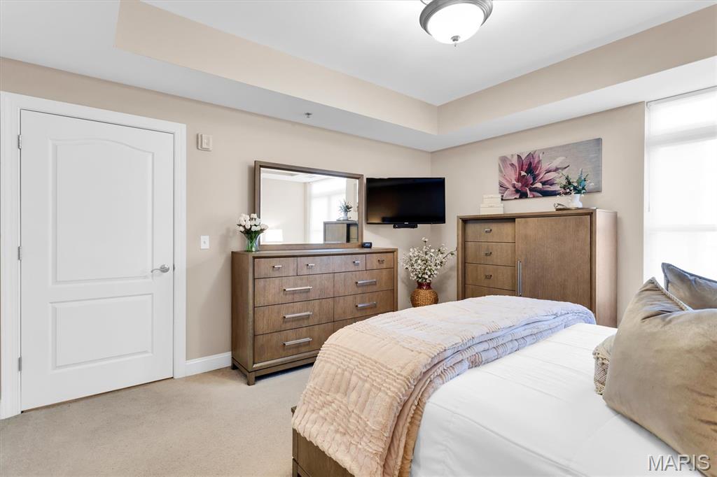 540 North And South Road, Unit 105 St. Louis, MO 63130 - Photo 26 of 48