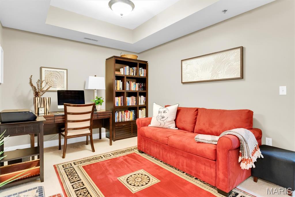 540 North And South Road, Unit 105 St. Louis, MO 63130 - Photo 36 of 48