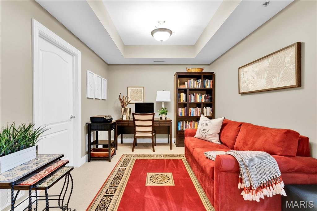 540 North And South Road, Unit 105 St. Louis, MO 63130 - Photo 37 of 48