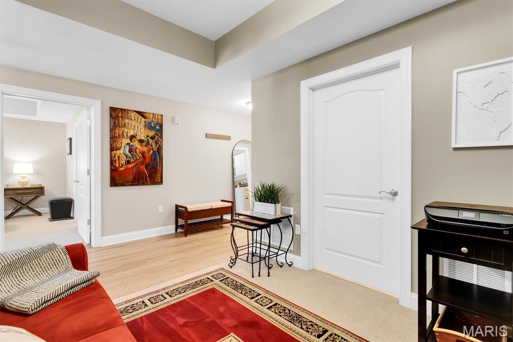 540 North And South Road, Unit 105 St. Louis, MO 63130 - Photo 38 of 48