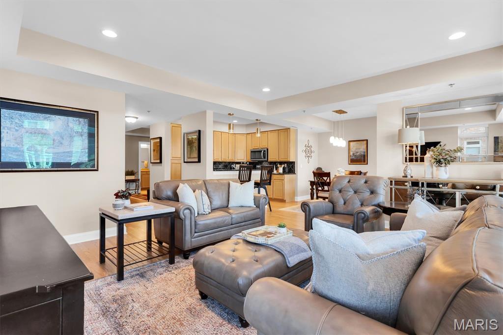 540 North And South Road, Unit 105 St. Louis, MO 63130 - Photo 9 of 48