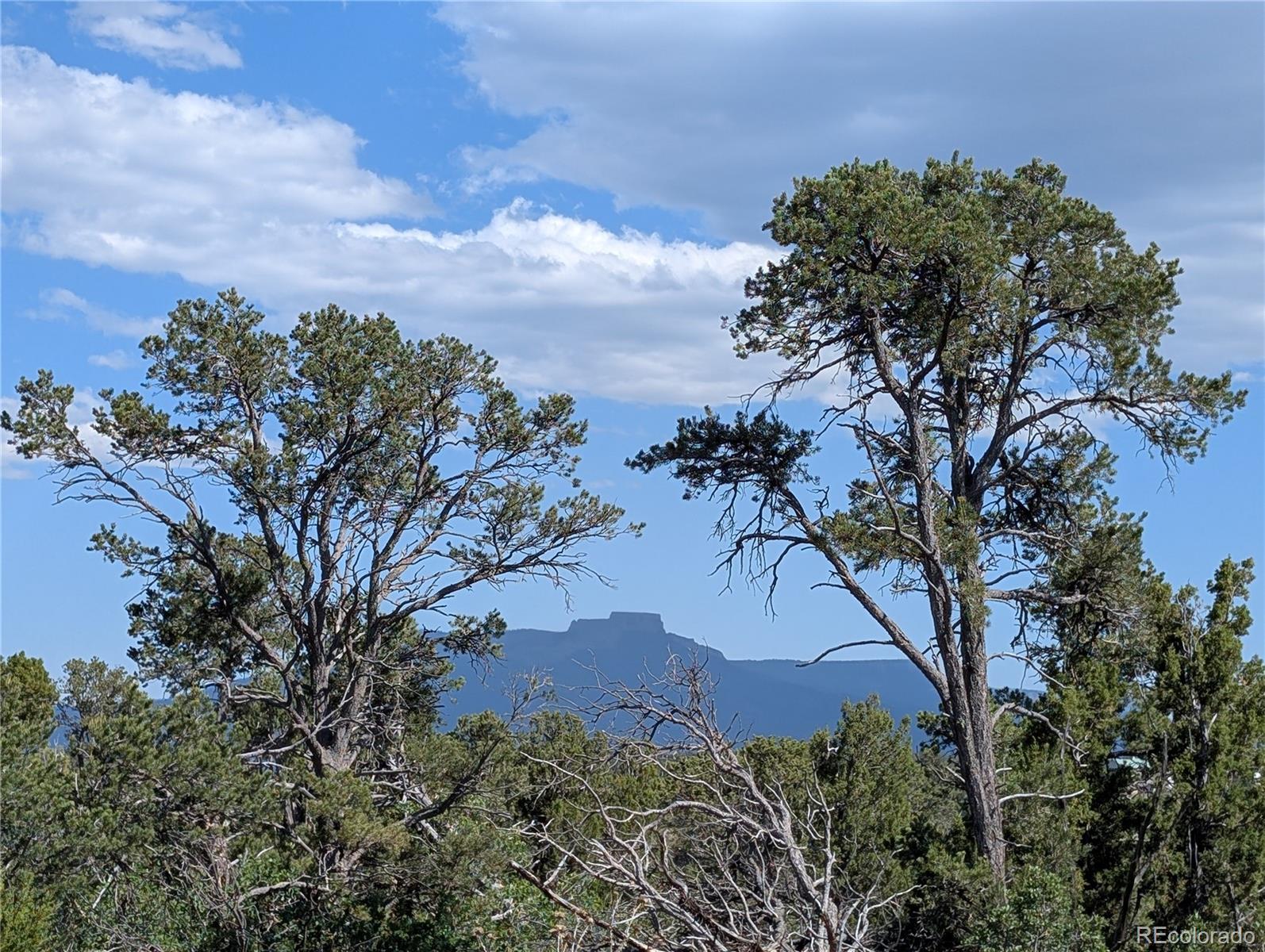 Fishers Peak Ranch Trinidad, CO 81082 - Photo 15 of 34