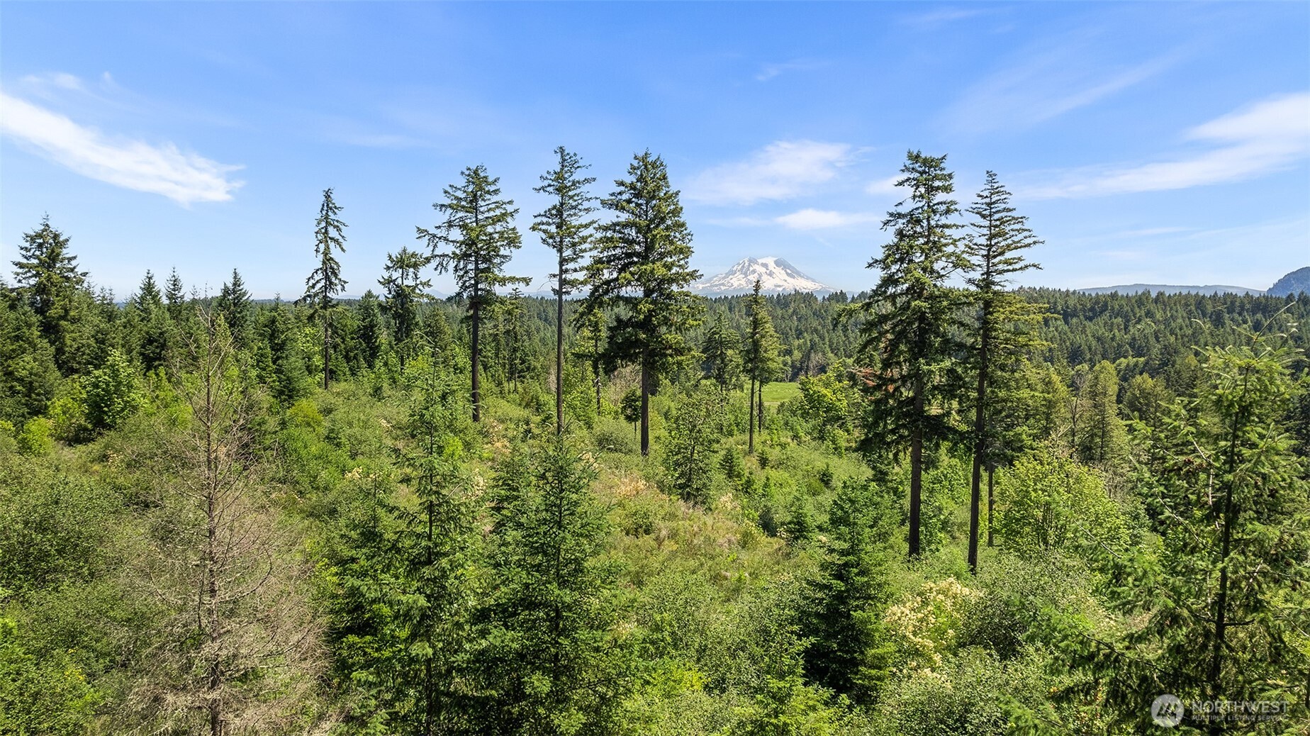 22030 Peissner Road Southeast Yelm, WA 98597 - Photo 13 of 18