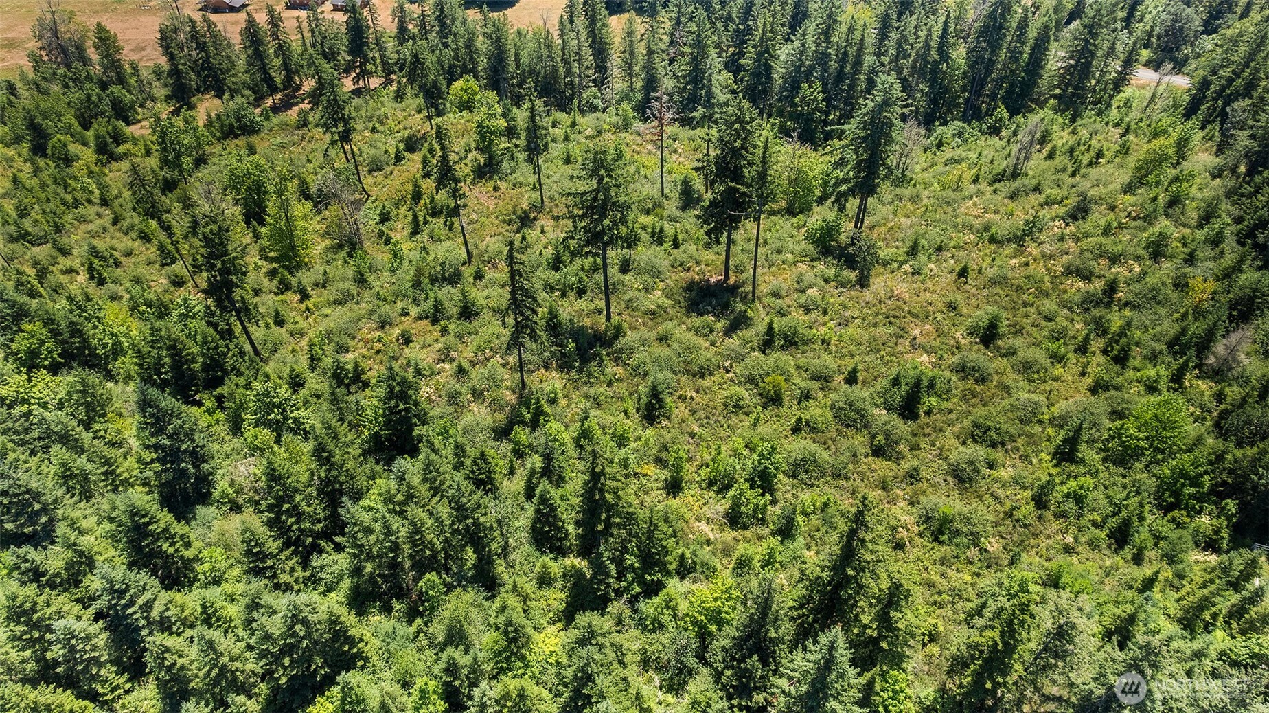 22030 Peissner Road Southeast Yelm, WA 98597 - Photo 14 of 18