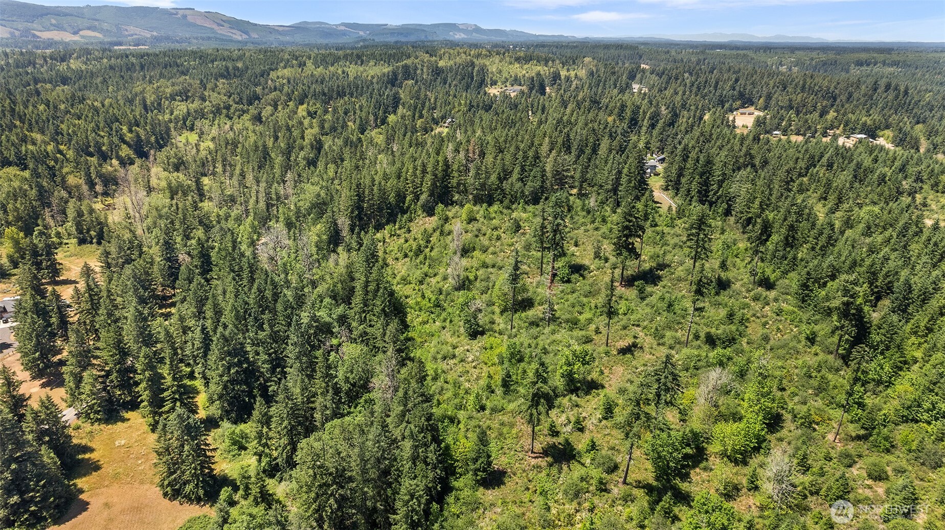 22030 Peissner Road Southeast Yelm, WA 98597 - Photo 15 of 18