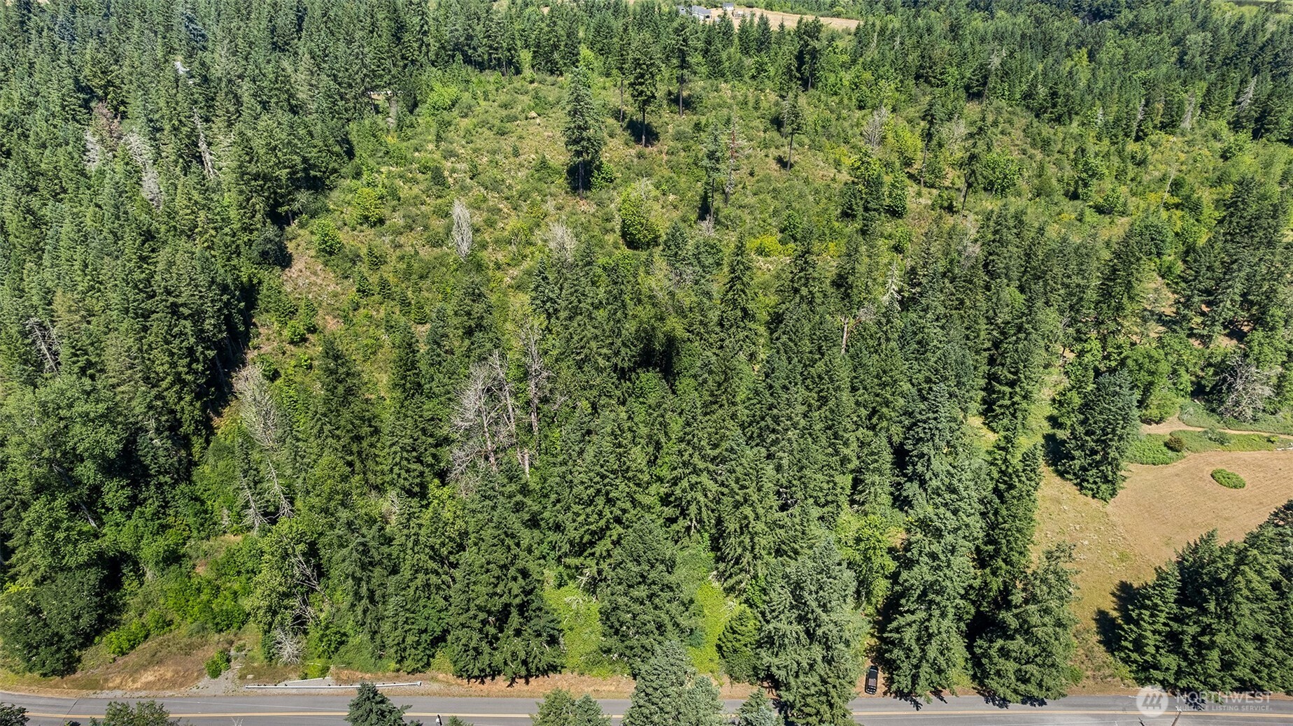 22030 Peissner Road Southeast Yelm, WA 98597 - Photo 17 of 18