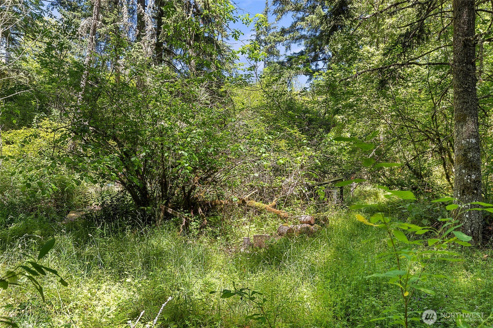 22030 Peissner Road Southeast Yelm, WA 98597 - Photo 2 of 18