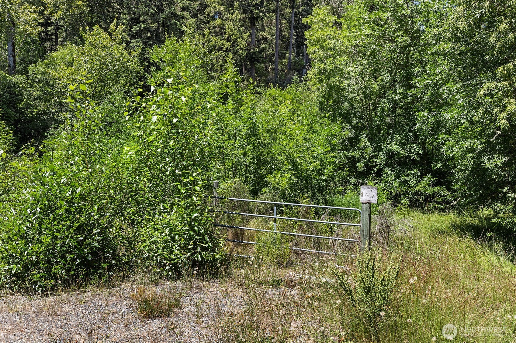 22030 Peissner Road Southeast Yelm, WA 98597 - Photo 5 of 18